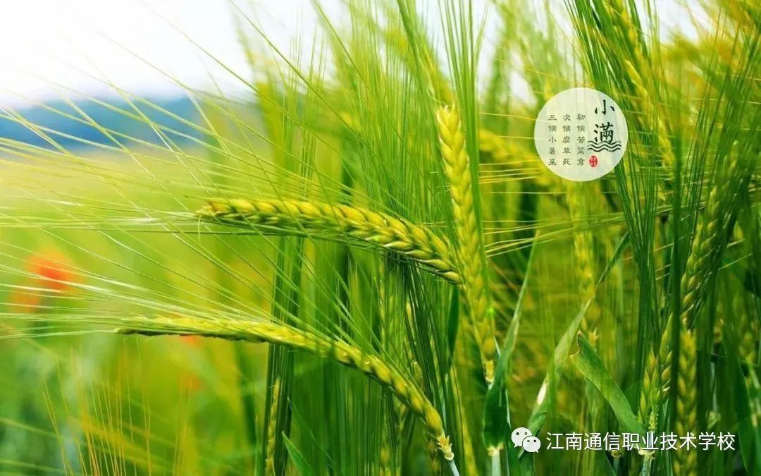 岳陽市江南通信職業(yè)技術學校,岳陽江南學校,岳陽江南通信學校,岳陽職業(yè)學校 岳陽市江南通信職業(yè)技術學校,岳陽江南學校,岳陽江南通信學校,岳陽職業(yè)學校